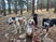 Thursday Pack Activities (10/8/2026)