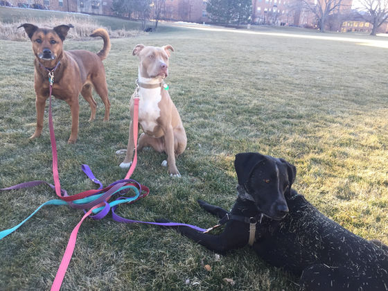 Tuesday Pack Activities