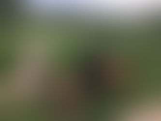 Wednesday Pack Activities