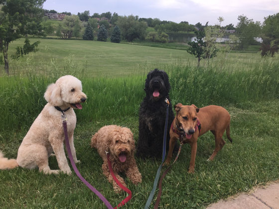 Wednesday Pack Activities