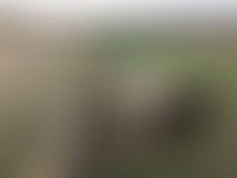 Friday Pack Activities