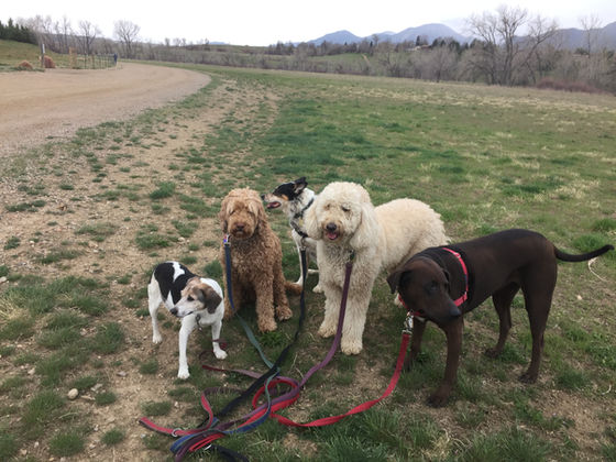 Friday Pack Activities