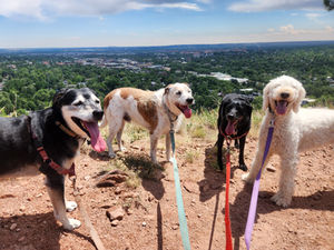 Tuesday Pack Activities (7/28/2026)