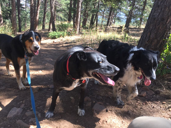 Wednesday Pack Activities