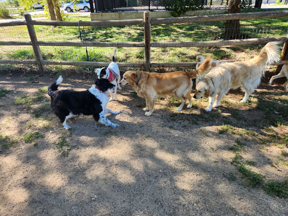 Friday Pack Activities (10/4/2024)