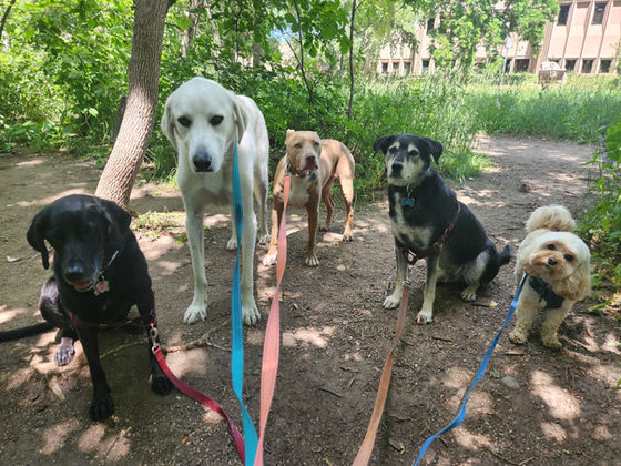 Thursday Pack Activities (7/3/2025)