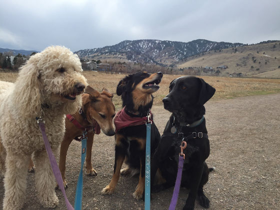 Thursday Pack Activities