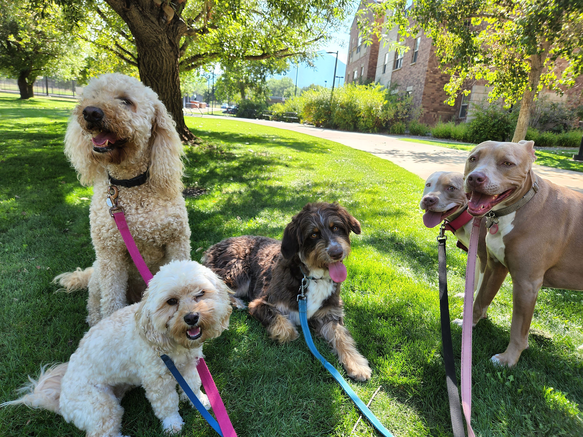 Zoey,Carl,Archie,Lou,Rey