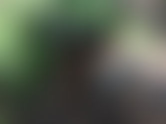 Monday Pack Activities