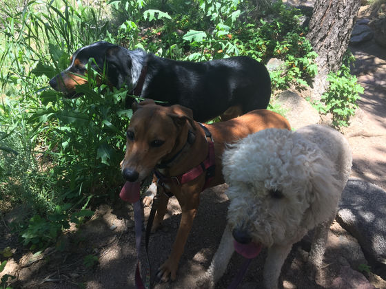 Monday Pack Activities