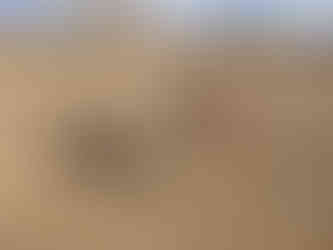 Carl, Dylan, friends