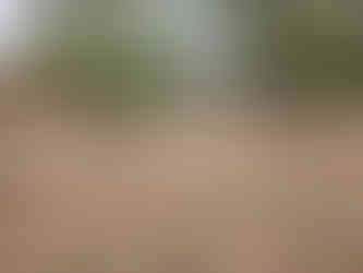 Tozai, Alfie, friend