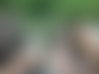 Tuesday Pack Activities