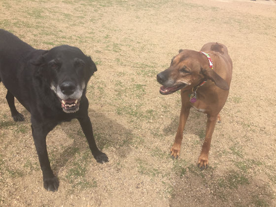 Thursday Pack Activities