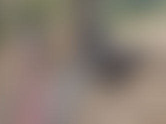 Monday Pack Activities (4/20/2026)