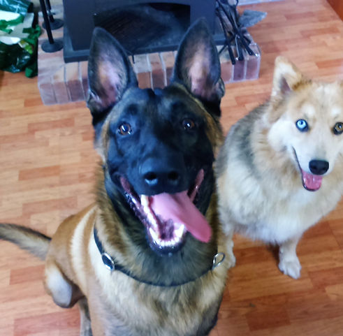 Argon y Khalesi