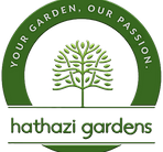 Névtelen-2 hatter nelkul 2_edited.png