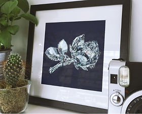 CRYSTAL-ROSE-ILLUSTRATION@2x.jpg