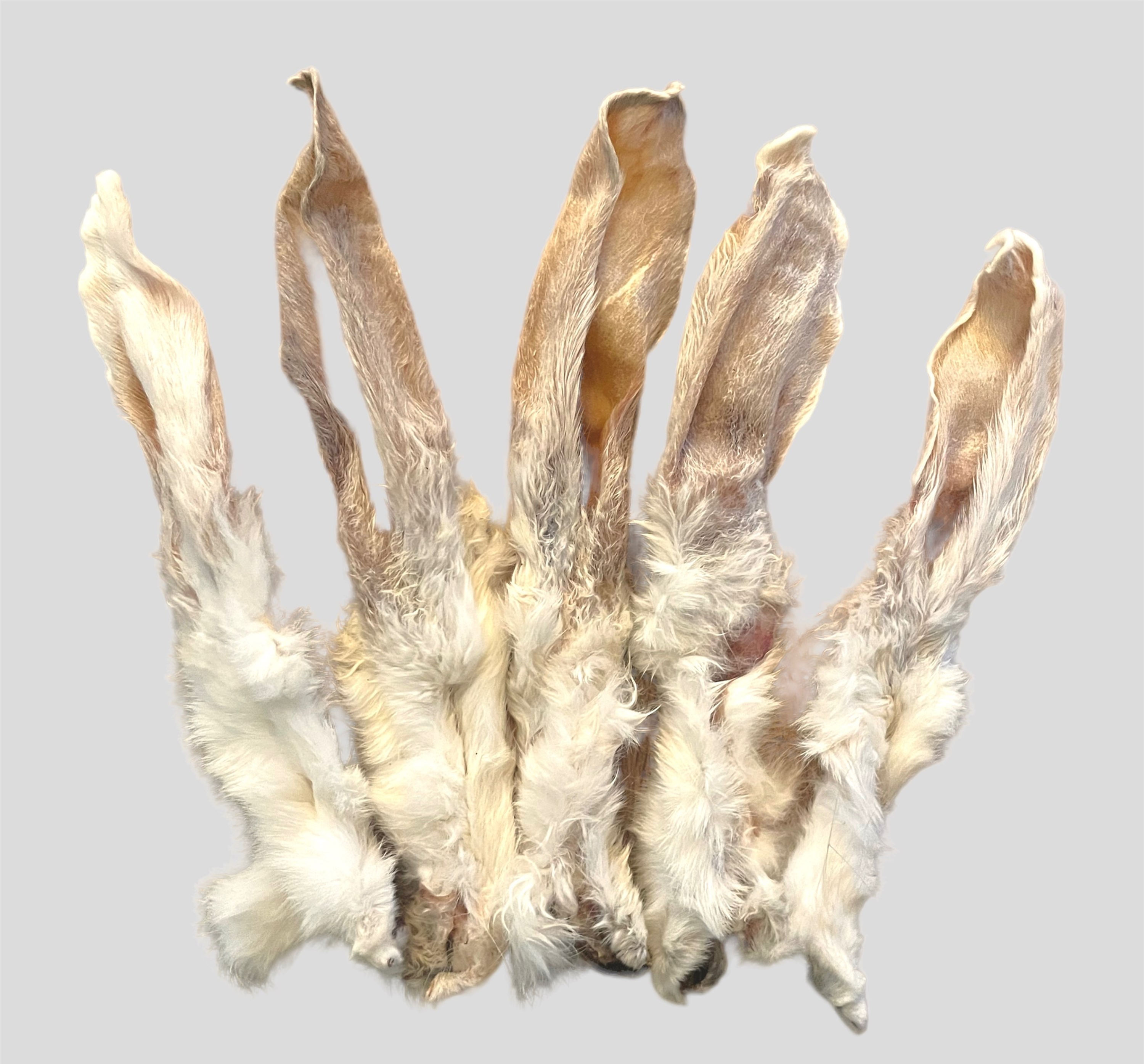 Rabbits Ear - With Fur
