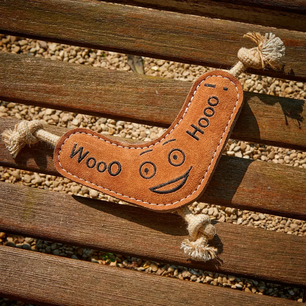 Green & Wild’s Benny the Boomerang eco dog toy made from felt suede and rope for fetch and tug play