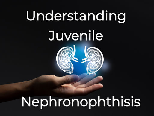 Understanding Juvenile Nephronophthisis: A Rare Kidney Disorder in Youth