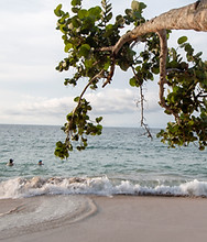 Caribe19_2.jpg