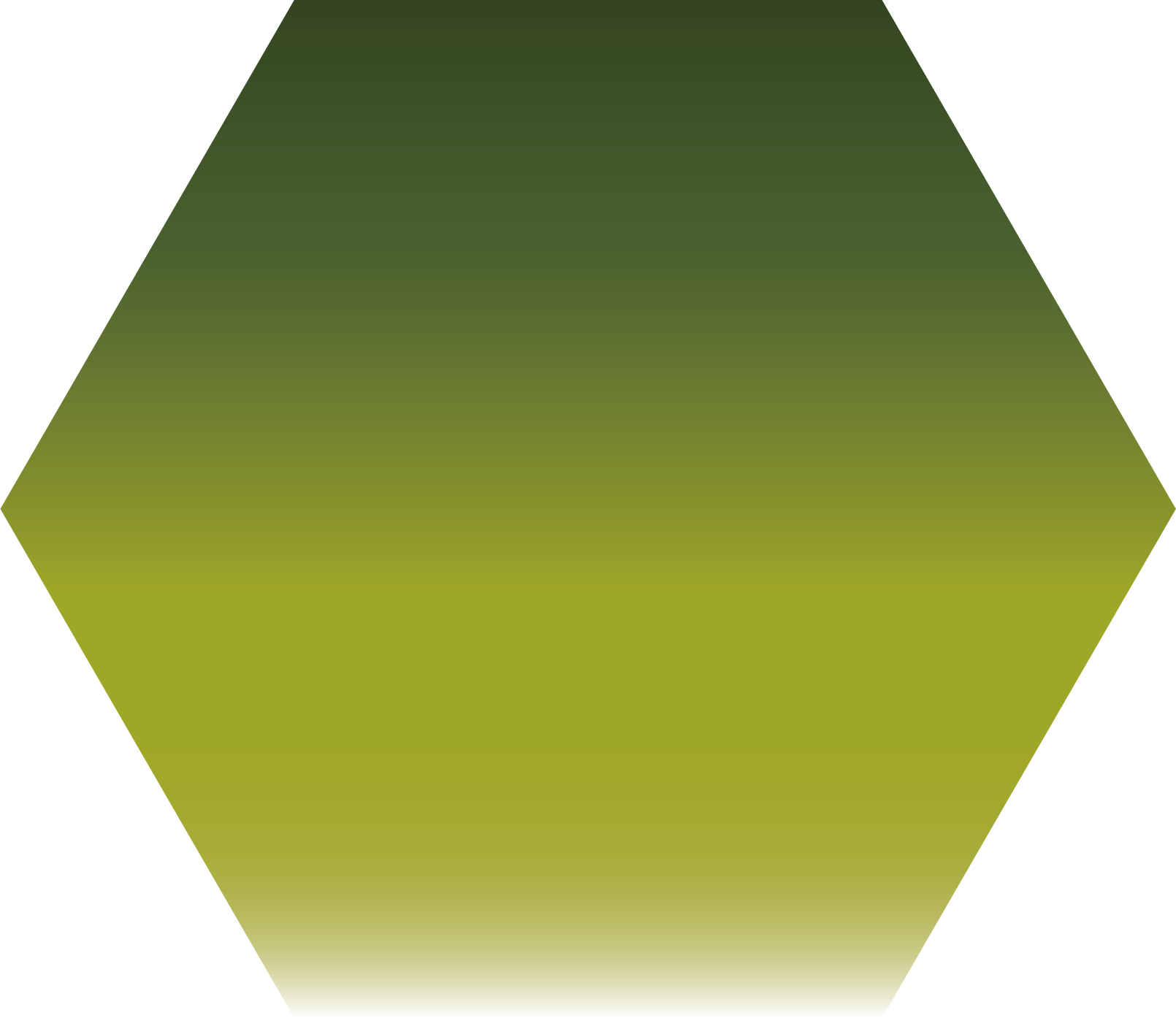 Sennelier - 813 - Vert olive - 1/2 godet