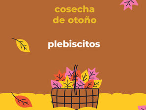 Plebiscitos: apoyo ciudadano a las propuestas