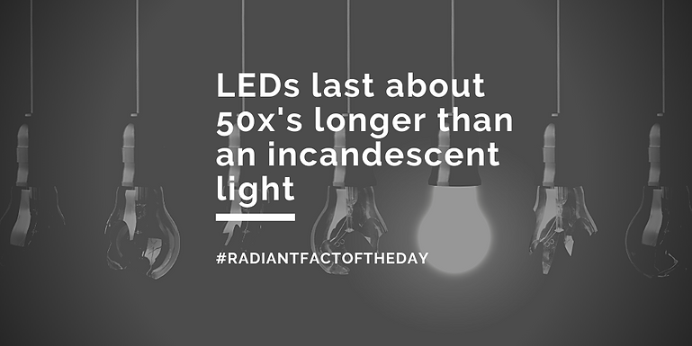 LED Facts Of The Month