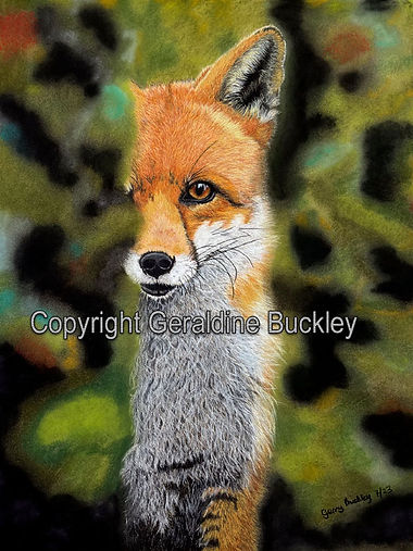 fox