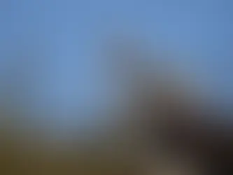 İşçi Direnişleri ve Sınıf Dayanışması