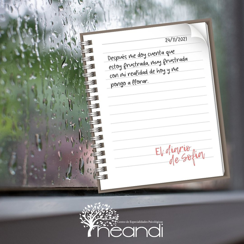 DIARIO DE SOFÍA Días...