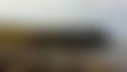 The Role of Security