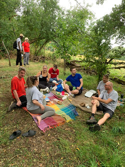 A picnic in the meadow