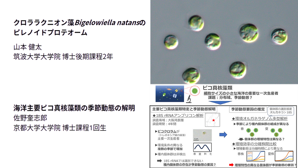 第72回Hybrid:夏休み学生セッション