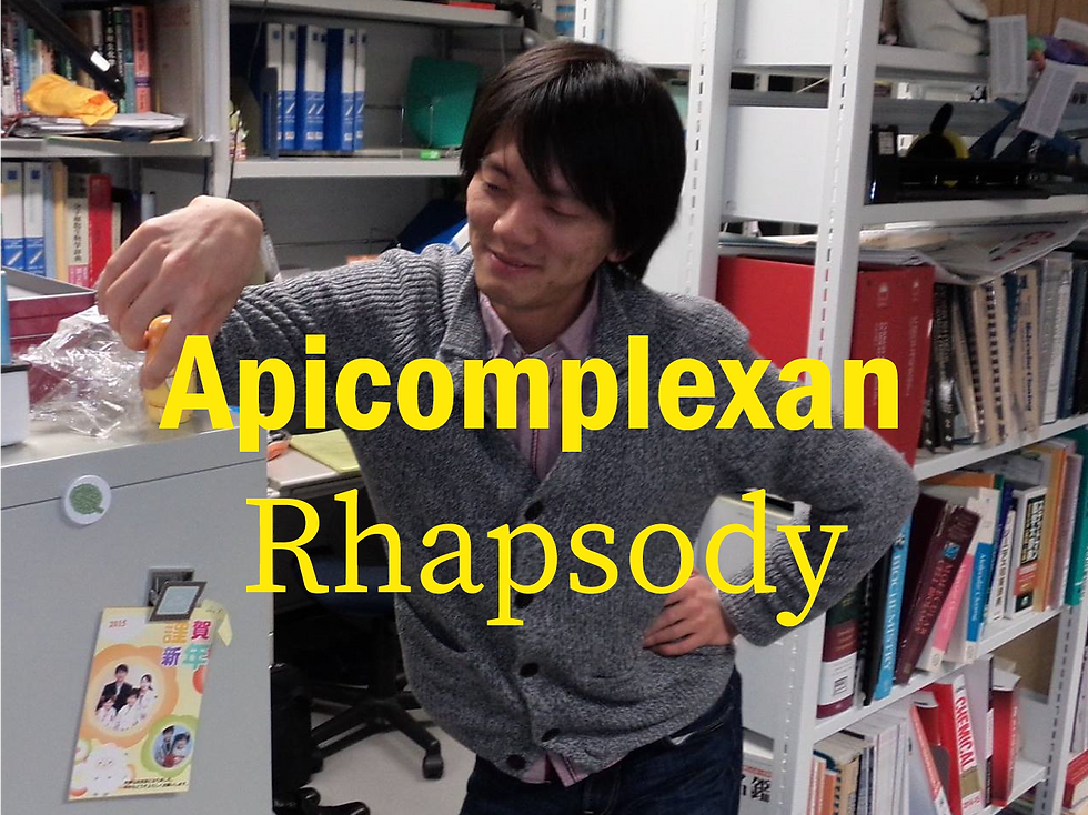 第10回セミナー:Apicomplexan Rhapsody - 寄生虫が奏でる進化の狂詩曲 -