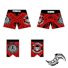 Kong Sports MMA Shorts