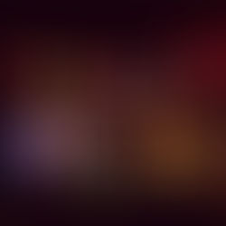 What’s on in West Cornwall - festive edition