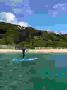 Stand up paddle board