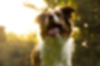 DSC09225.jpg