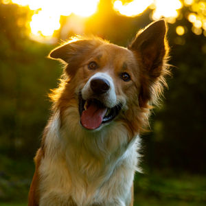 Lino und Zoey von LLA