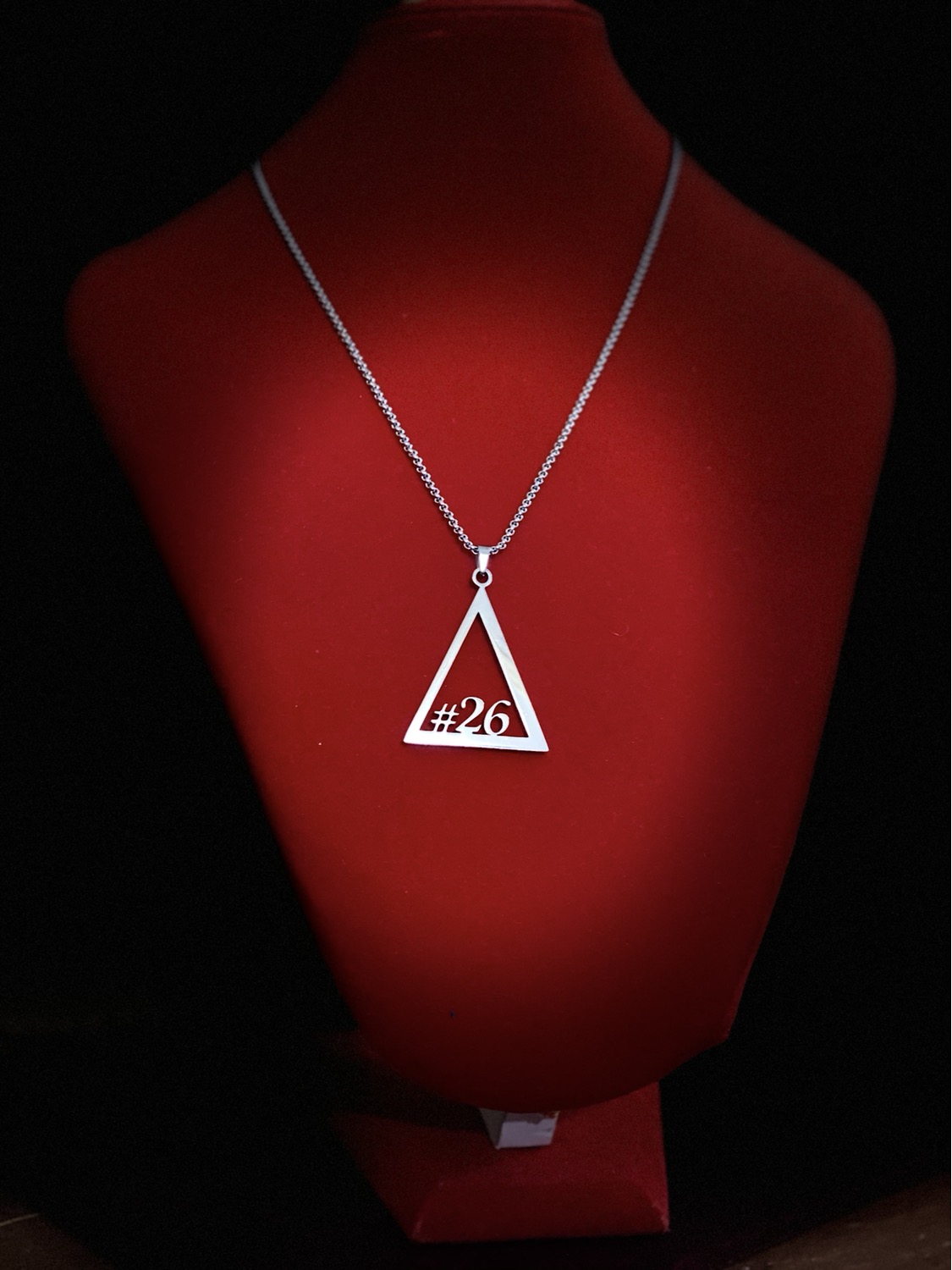 Thumbnail: Delta #21 - #30 Line Numbers SILVER Stainless Steel Pendant-Necklace!