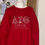 Thumbnail: DST Soror Red SWEATSHIRT