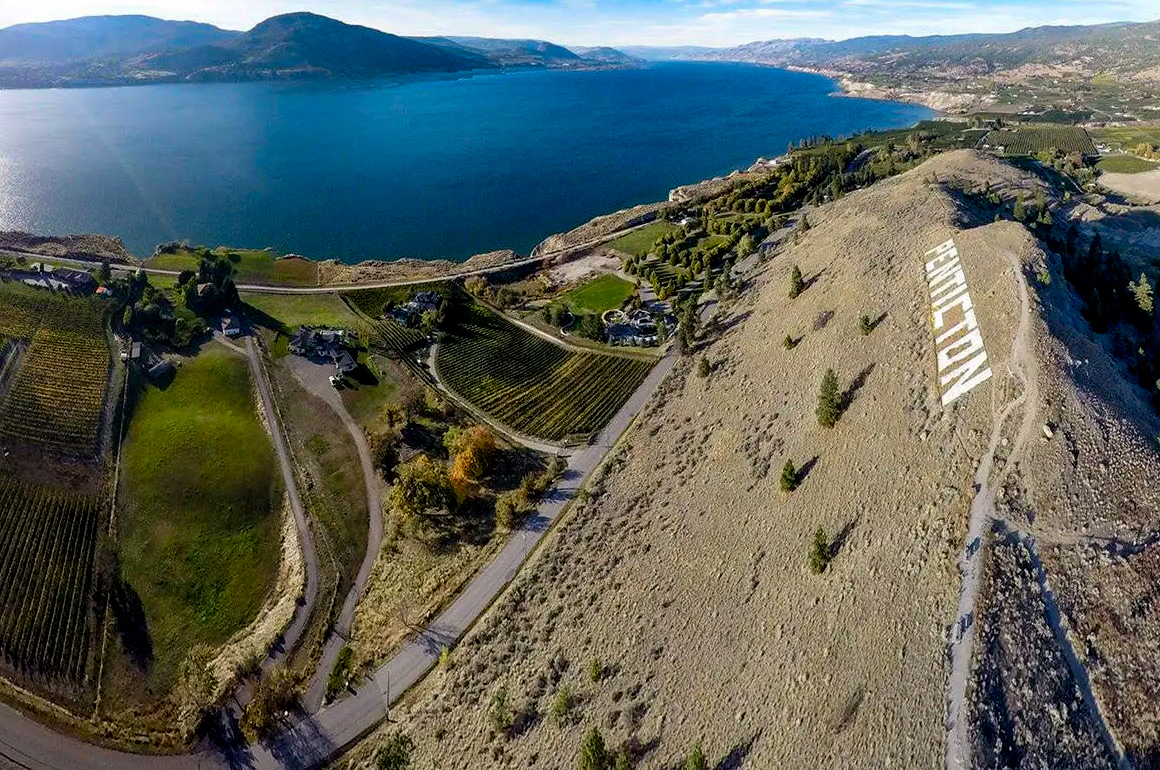 Aerial view over an Okanagan hillside vineyard above the lake