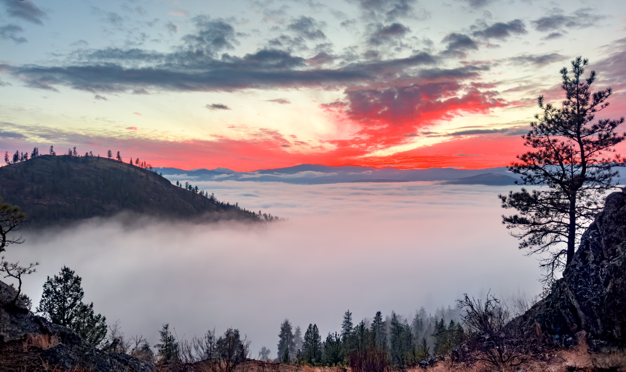 Vibrant red-orange sunrise above mountain ridges and a valley filled with low fog, framed by pine trees