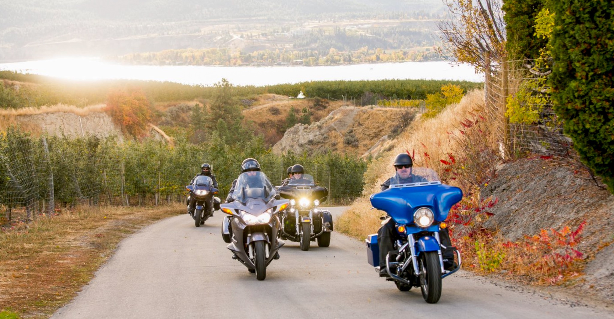 Group of motorcyclists riding along a scenic Okanagan vineyard road
