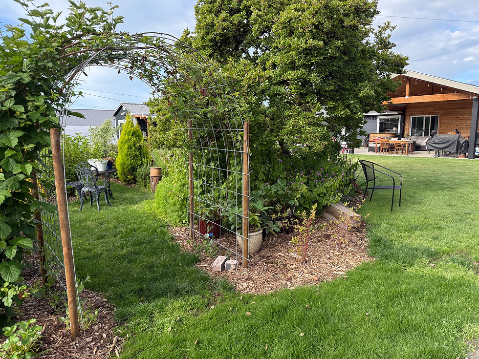 Thumbnail: Tranquility Blooms Bouquet COTERIE