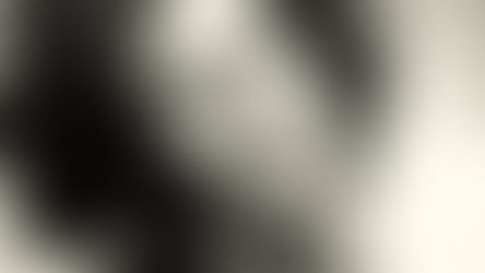 Jenny Polanco: la historia de la diseñadora dominicana que traspasó fronteras