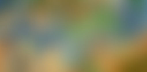 Descubrimiento: una fotografía muy temprana de los árboles en la imagen final de Van Gogh, pintada.