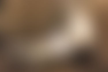 7 Muertes de Maria Callas, Marina Abramović presenta estreno mundial de su primera ópera en Múnich